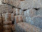 Kleine baaltjes stro te koop, Dieren en Toebehoren