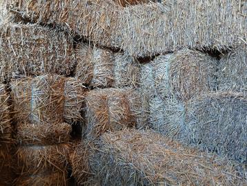 Kleine baaltjes stro te koop beschikbaar voor biedingen