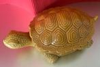 Schildpadbeeldjes, miniatuur (retro), Ophalen of Verzenden