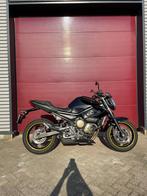 Yamaha XJ6 XJ6N, Bedrijf, Meer dan 35 kW, Toermotor, 600 cc