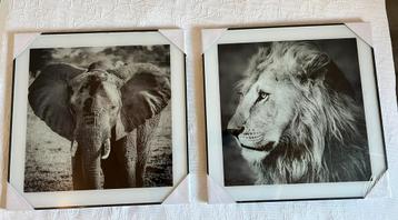 Set van 4 zwarte fotolijsten met dierenprints – NIEUW – €50 beschikbaar voor biedingen