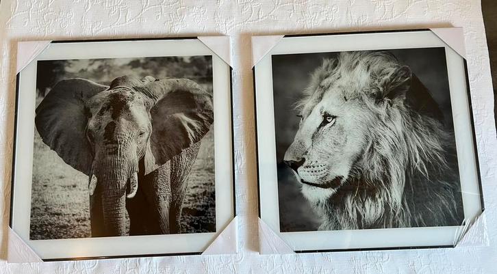 Set van 4 zwarte fotolijsten met dierenprints – NIEUW – €50, Huis en Inrichting, Woonaccessoires | Schilderijen, Tekeningen en Foto's