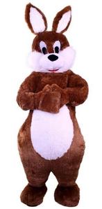 Opvallende Paashaas Kostuum Huren v.a. 50,-, Ophalen, Zo goed als nieuw, Pasen