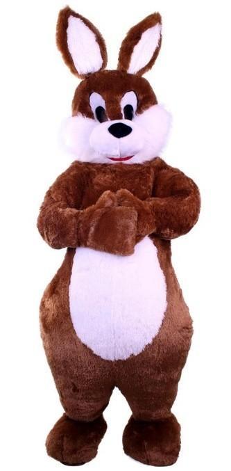 Opvallende Paashaas Kostuum Huren v.a. 50,-, Hobby en Vrije tijd, Feestartikelen | Verhuur, Zo goed als nieuw, Pasen, Ophalen