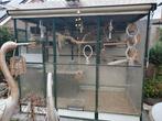 Voilere met 30 agapornis te koop, Ophalen, Zo goed als nieuw, Vogelkooi