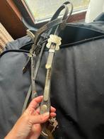 Showhoofdstel incl shank, Ophalen of Verzenden