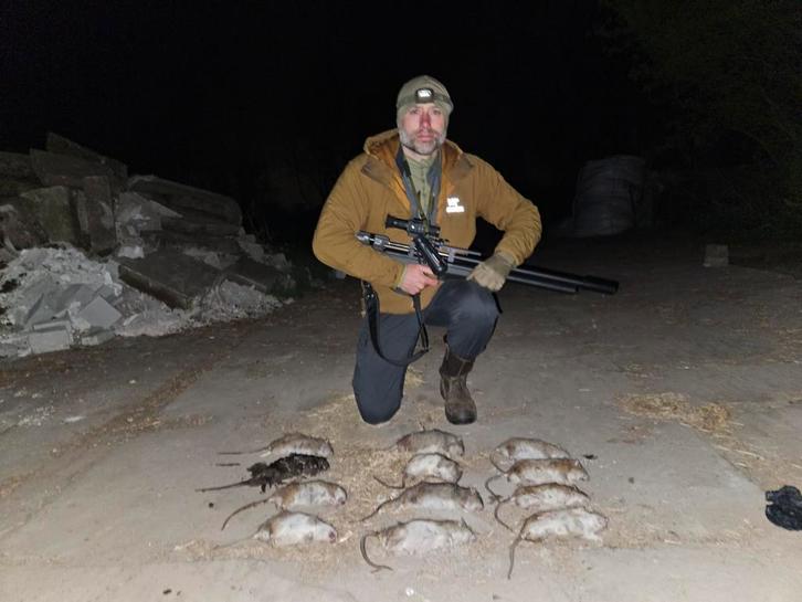 Rattenbestrijding, ratten bestrijding. Snel en discreet., Diensten en Vakmensen, Ongediertebestrijding