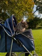 dieren buggy, Dieren en Toebehoren, Ophalen, Zo goed als nieuw