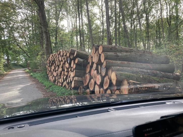 Rondhout aangeboden, verschillende soorten en kwaliteiten, Tuin en Terras, Haardhout, Blokken, Overige houtsoorten, Minder dan 3 m³