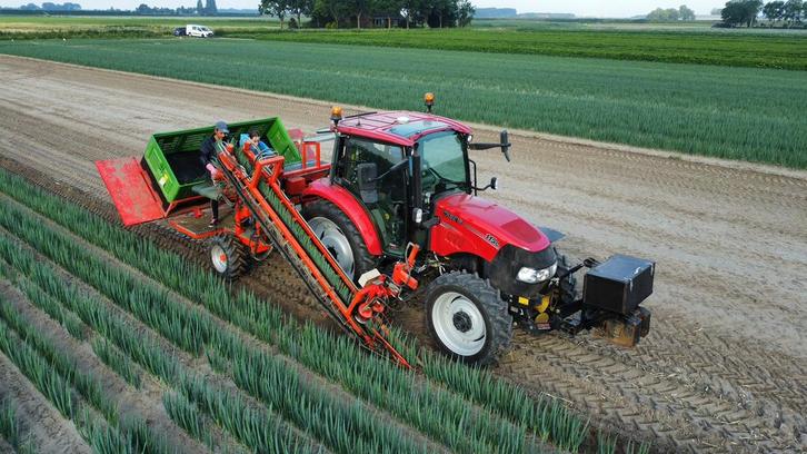 Lauwers klemband rooier bosui knolfook lentui preiplanten, Zakelijke goederen, Agrarisch | Werktuigen, Ophalen
