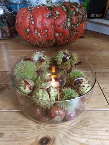 Herfst decoratie / herfstbakje met licht. GRATIS kaarsen! beschikbaar voor biedingen