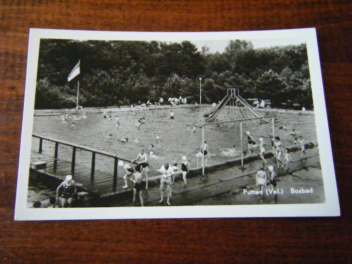 S36 - Putten - Zwembad / Bosbad - Mooi/Oud 1, Verzamelen, Ansichtkaarten | Nederland, Gelderland, 1940 tot 1960, Ophalen of Verzenden