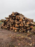 Partij brandhout stammen eik berk beuk wilg es ca 100 kuub, Tuin en Terras, Haardhout, Minder dan 3 m³, Ophalen