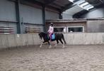 Toekomstige sportpony grote C kleine D!, Dieren en Toebehoren, Pony's, Merrie, B, Gechipt, Dressuurpony