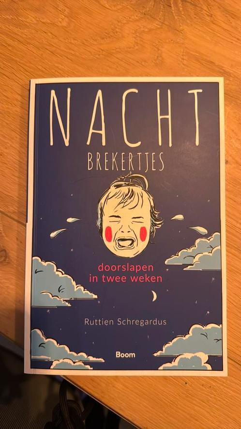 Ruttien Schregardus - Nachtbrekertjes, Boeken, Psychologie, Zo goed als nieuw, Ontwikkelingspsychologie, Ophalen