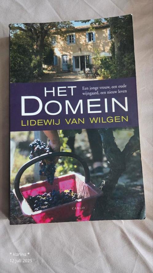 Lidewij van Wilgen - Het domein, Boeken, Literatuur, Zo goed als nieuw, Nederland, Ophalen of Verzenden