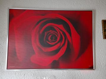 Groot schilderij roos 140 x 100.cm beschikbaar voor biedingen