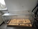 Plexiglas hok / bak, Dieren en Toebehoren, Knaagdieren en Konijnen | Hokken en Kooien, Ophalen, Overige typen, 60 tot 90 cm, Hamster