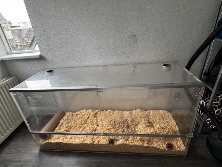Plexiglas hok / bak, Dieren en Toebehoren, Knaagdieren en Konijnen | Hokken en Kooien, Gebruikt, Overige typen, 60 tot 90 cm, 110 cm of meer
