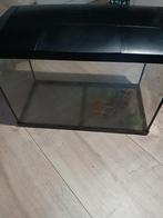 Aqaurium, Dieren en Toebehoren, Ophalen, Gebruikt, Leeg aquarium