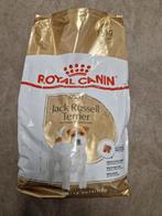 Jack Russell, Ophalen of Verzenden, Vee