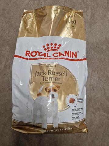 Jack Russell  beschikbaar voor biedingen