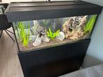 Aquarium Juwel Rio zwart 180 liter, Dieren en Toebehoren, Vissen | Aquaria en Toebehoren, Ophalen, Zo goed als nieuw, Gevuld zoetwateraquarium