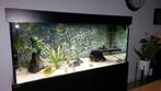 Aquarium 150x60x70, Ophalen, Zo goed als nieuw