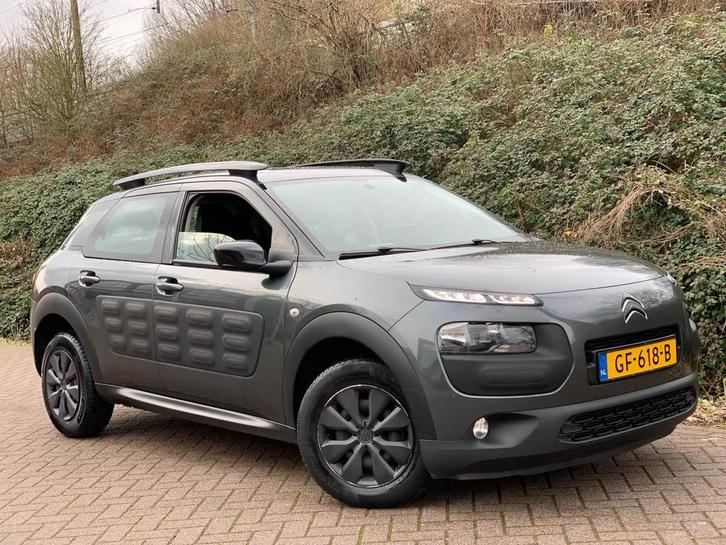 Citroen C4 Cactus 1.6 BlueHDi Feel EURO6 LUXE UITV. 2015 !, Auto's, Citroën, Bedrijf, Te koop, C4 Cactus, ABS, Airbags, Airconditioning