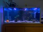 Aquarium 180L inclusief accessoires, Dieren en Toebehoren, Vissen | Aquaria en Toebehoren, Ophalen, Gebruikt, Leeg aquarium