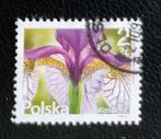 Polen MI 4856 bloem, Postzegels en Munten, Postzegels | Europa | Overig, Ophalen of Verzenden, Polen, Gestempeld