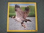 Rolf Vogel Puzzel - Houten Legpuzzel, Nieuw, 2 tot 4 jaar, 10 tot 50 stukjes, Ophalen of Verzenden, Zo goed als nieuw
