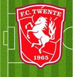 Fc Twente Halve Finale play-offs Ticket 2x in vak P, Tickets en Kaartjes, Sport | Voetbal, Twee personen