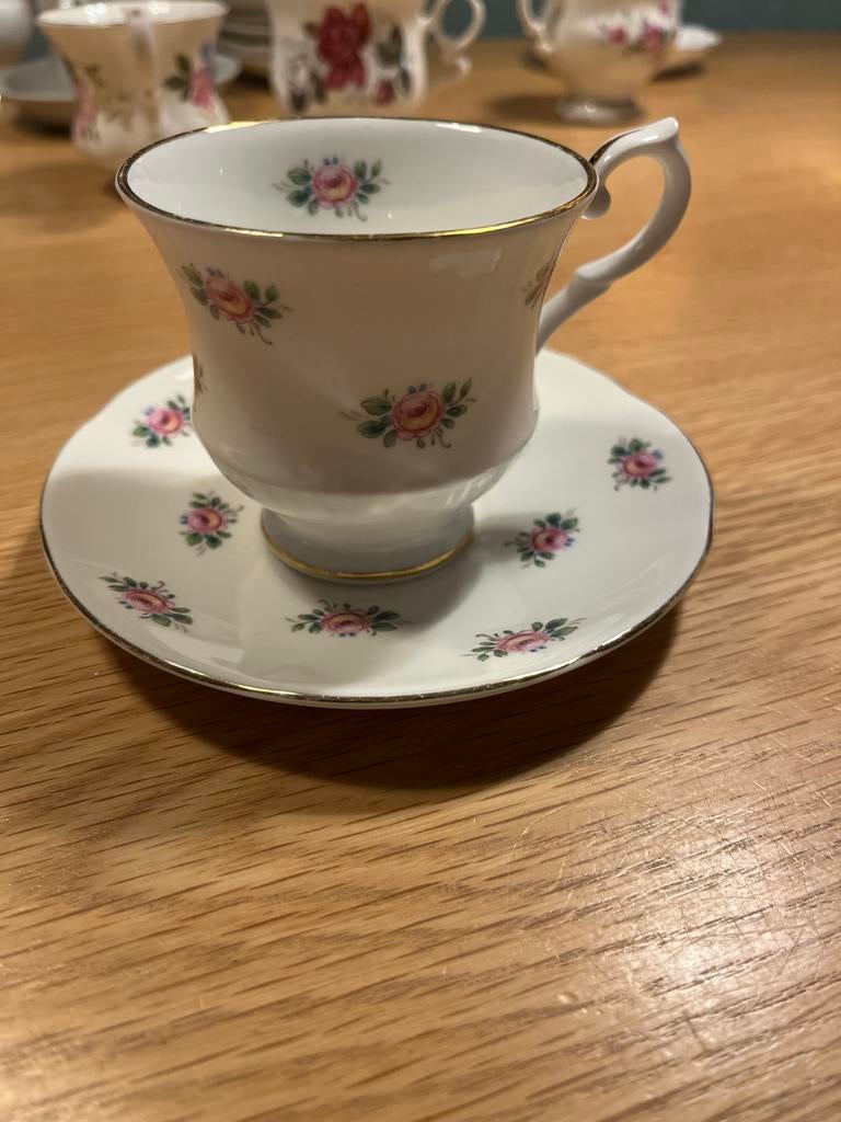 Vintage Springfield Bone China Theekop en Schotel, Ophalen
