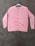 Vest roze 38, Ophalen of Verzenden, Nieuw, Roze