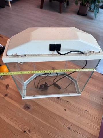 Fishtank beschikbaar voor biedingen