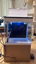 Superfish Panorama 35L, Dieren en Toebehoren, Ophalen, Gebruikt, Leeg aquarium