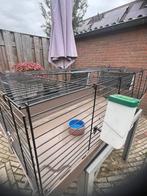 Cavia hok, Dieren en Toebehoren, Knaagdieren en Konijnen | Hokken en Kooien, Minder dan 60 cm, Ophalen of Verzenden, Zo goed als nieuw