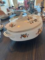 Vintage soepterrine met deksel + sauskom Schlaggenwald tsjec, Ophalen of Verzenden
