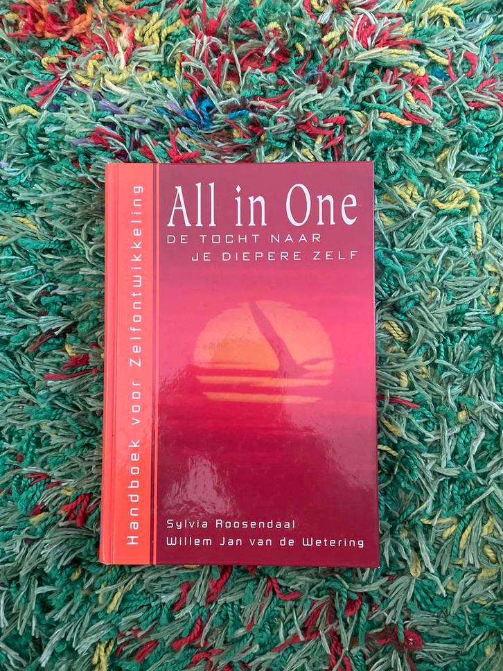 All in One: De Tocht naar je Diepere Zelf, Boeken, Esoterie en Spiritualiteit, Zo goed als nieuw, Achtergrond en Informatie, Spiritualiteit algemeen