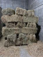 Kleine pakjes hooi te koop, Dieren en Toebehoren, Dierenvoeding, Ophalen, Vee