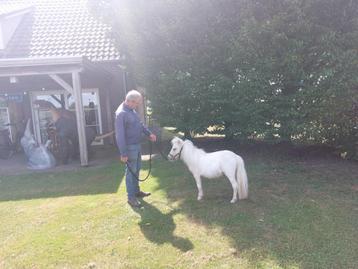 Super mooi miniatuur paardje beschikbaar voor biedingen