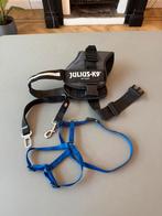 Puppy tuigje en autoriem en Julius honden tuig, Ophalen of Verzenden, Gebruikt, Hondenriem-accessoire