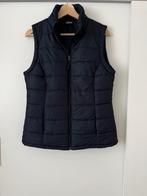 Bodywarmer Colours of the World bij Takko maat S, Nieuw, Blauw, Colours of the World, Maat 36 (S)