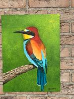 Schilderij: Kleurrijke Bijeneter op Tak, Antiek en Kunst, Kunst | Schilderijen | Klassiek, Ophalen of Verzenden