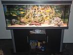 Titel: Groot aquarium 15047,5138 cm +- garnalen (300, Ophalen, Leeg aquarium