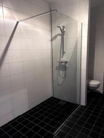 douchewand inloop - 116,5cm x 197,5 beschikbaar voor biedingen