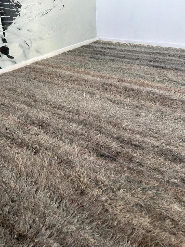 Grootste en voordeligste vloerkleden collectie van Nederland, Huis en Inrichting, Stoffering | Tapijten en Kleden, Nieuw, 200 cm of meer