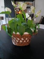 Riviera maison ovale bloempot, Ophalen of Verzenden, Overige vormen, Aardewerk, Minder dan 40 cm