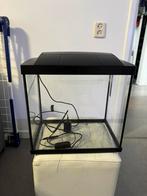 Superfish 27liter aquarium, Ophalen, Zo goed als nieuw, Leeg aquarium